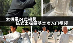 陈氏太极拳24式教学视频,入门必看，掌握经典套路